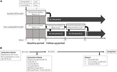 The association of long-term blood pressure variability with hemodialysis access thrombosis
